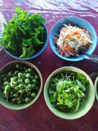 ร้านข้าวเเกง,ขนมจีนบังฟี้ห้วยปลิง