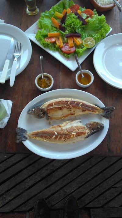 Pesqueiro, Restaurante & Pousada Sitio Matão