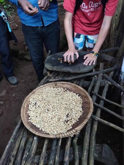 Kilimanjaro Organic Coffee Process