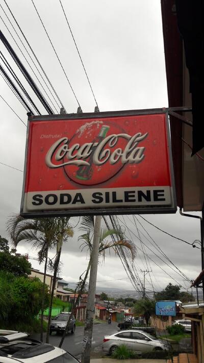 Soda Silene