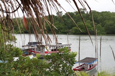 Espaço Flor Da Vida Algodoal