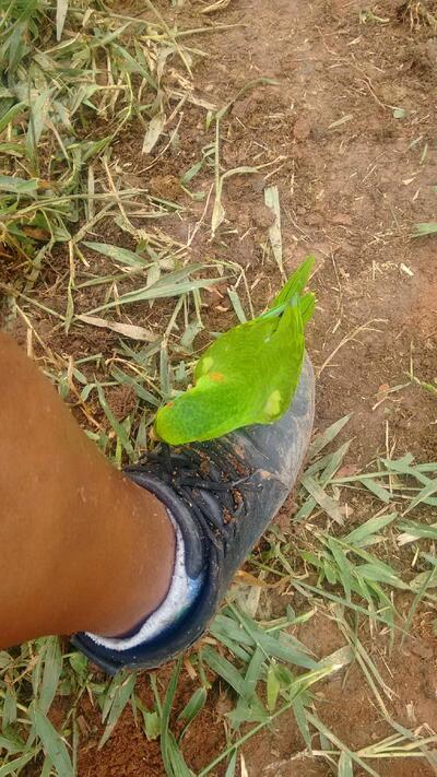 Padaria e Pizzaria Nova Sardoal