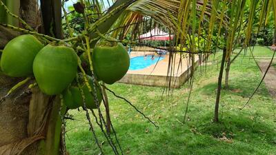 Cachaças Engenho do Coronel