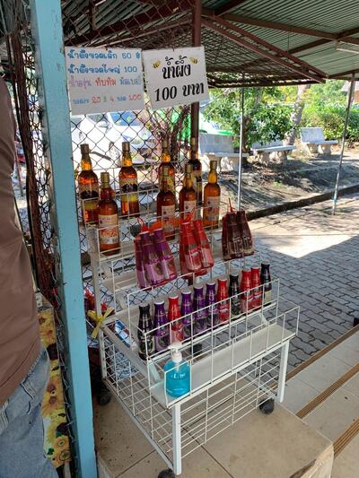 บัสบัส Lotto Glo