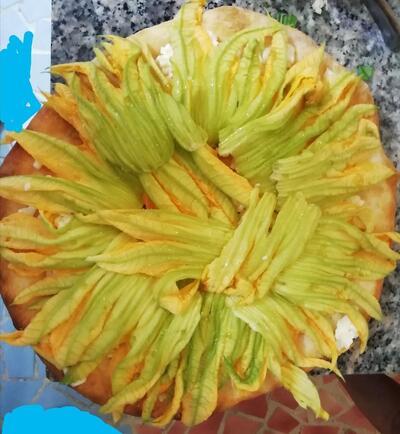 Noleggio Imbarcazioni Bar Nautilus Piscine Naturali