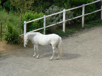 AGRITURISMO LE GIARE