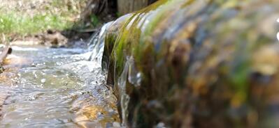 Khan Meat & Chickens