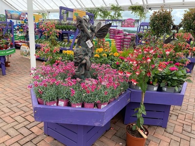 Caulders Garden Centre Cumbernauld