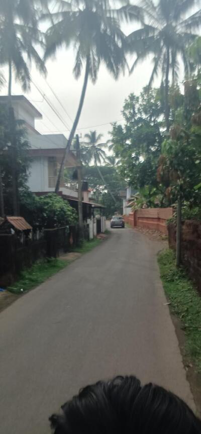 Sensory wines @ eco family bar and restaurant