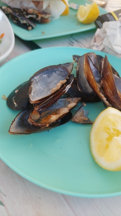 Foça sahil