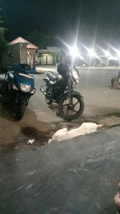 THIRUCHENDHUR MURUGAN COFFE BAR