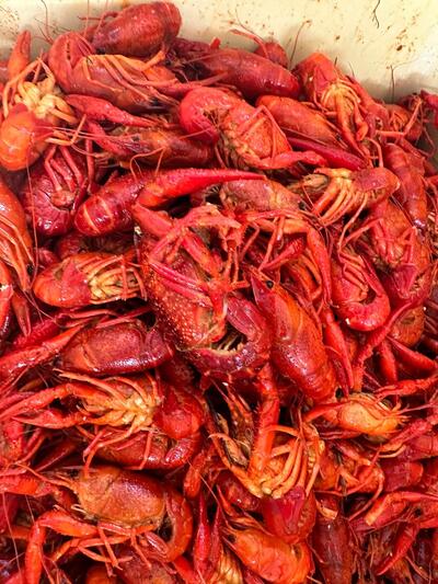 Mud Bugs, LLC