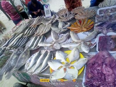 Diya Riya Bhutta Stall