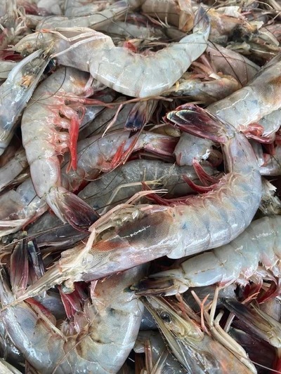 Ruth's Seafood