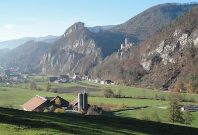 Pintli neuFalkenstein