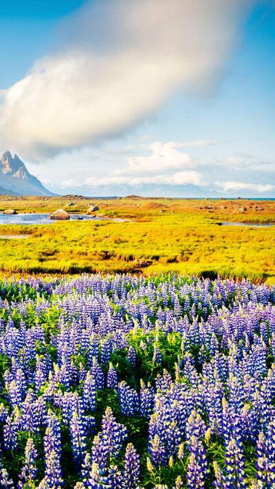 Ferme Auberge les blés d'or