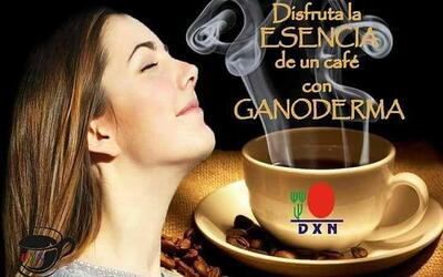 DXN Caranavi