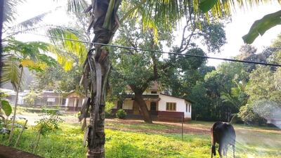 Keyar Bakers and Chips