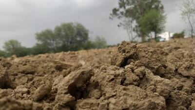 Om Saini Hotel and Restaurant