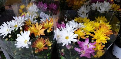 Bäckerei Imping GmbH & Co.KG