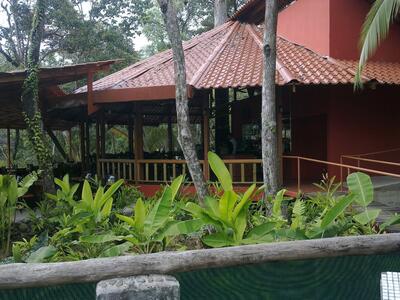 Restaurante The Wave