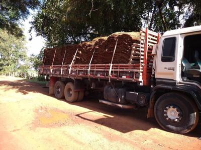 Restaurante e Lanchonete Churrascão