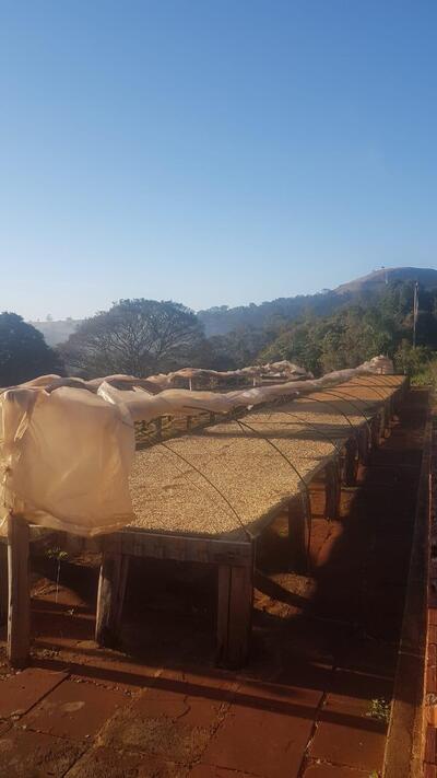 Sítio das Palmeiras Cafés Especiais