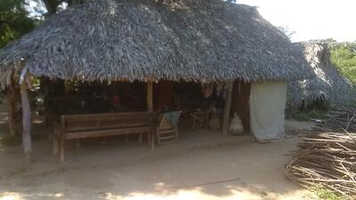ဖိုးကြည်ထန်းတော