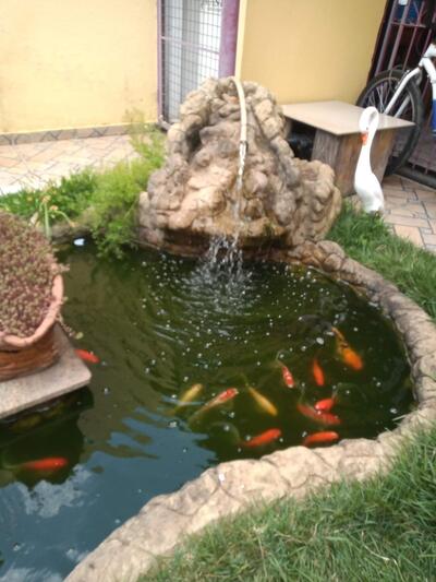 Mar's Rotisserie foto