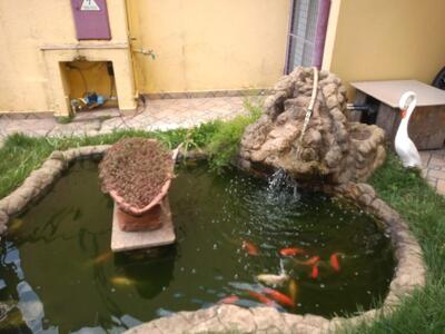 Mar's Rotisserie foto