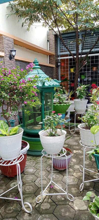 Cafe Pelangi Tembok Luwung