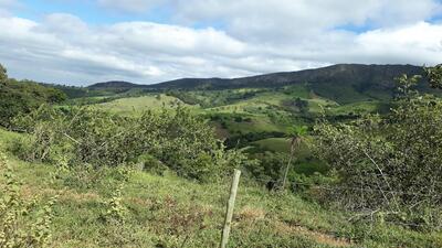 Restaurante Rede Frango Assado - Mogi Guaçu