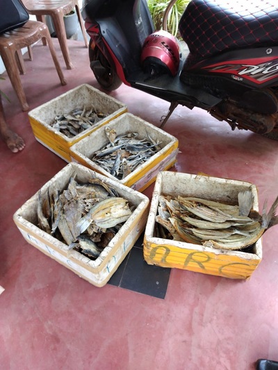 Risma Traders