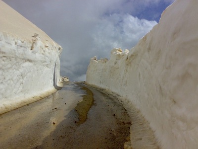 نانوایی دارستان