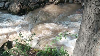 BALIQ
