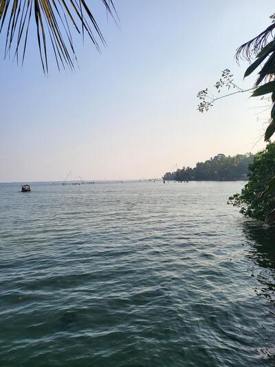 Johnny's Home meals & Bakery