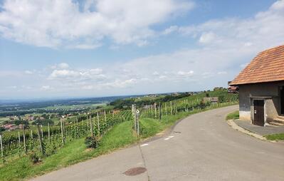 Labestation Weingut Domittner