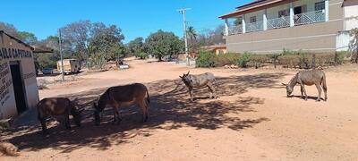 Comunidade de Pandeiros