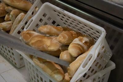 Forno Bassi (laboratorio)