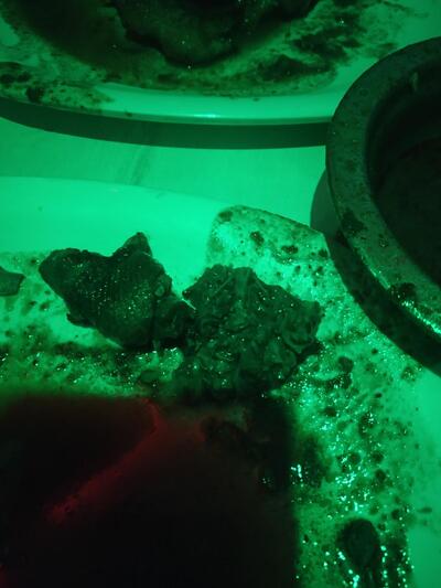 Raj Bar and Restaurant A/C non A/C