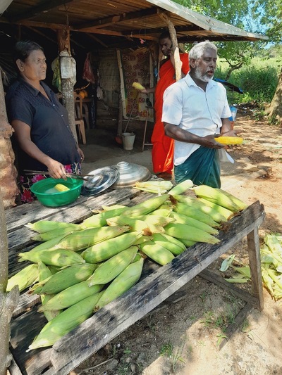 Sweet corn shop