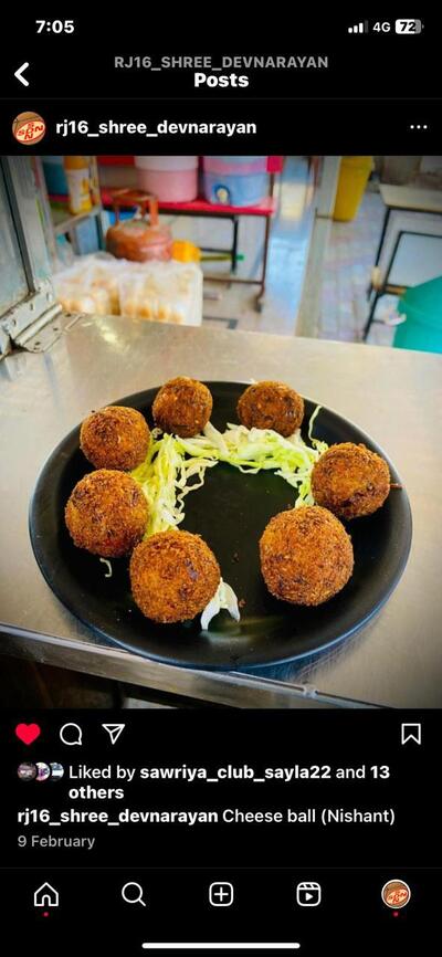 Shree Dev Narayan Fast Food