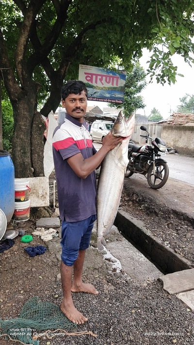 वारणा फिश