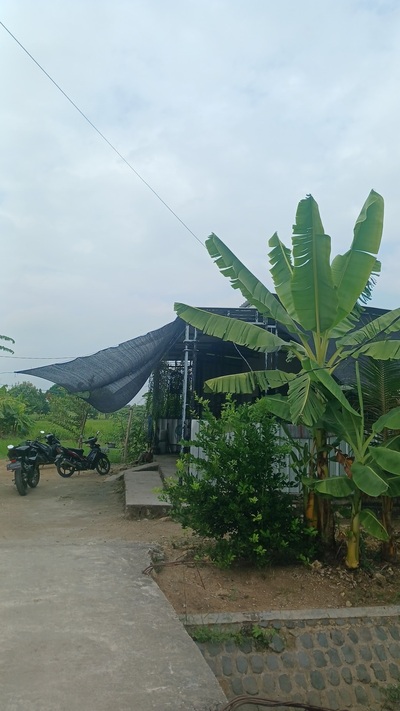 kedai mbak ichak