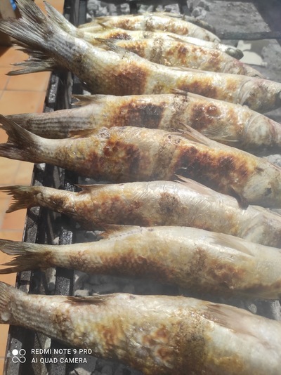 Arrostidoris Home Restaurant