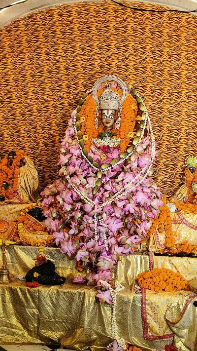 Crispy & hot pizza shop