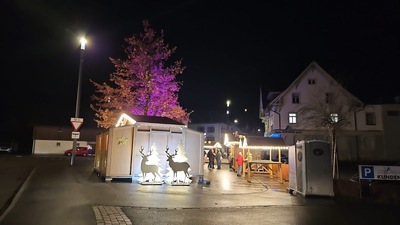 Winterzauber Alpha Pärkli Berneck