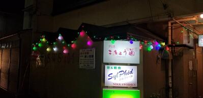 PUB こちょう蘭