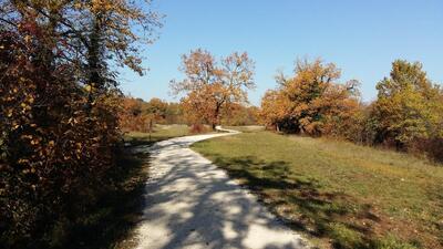 Restaurant Chez Würth
