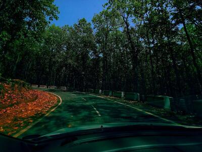 Shama Restaurant photo